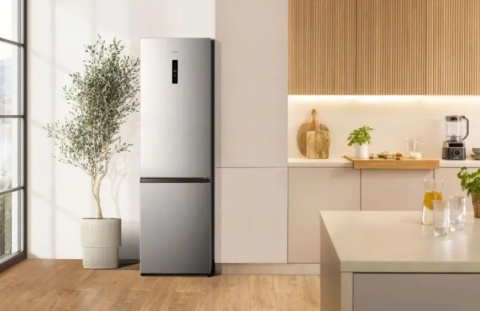 LODÓWKA GORENJE NRK620EAXL4 G600 SREBRNA 200cm NoFrost