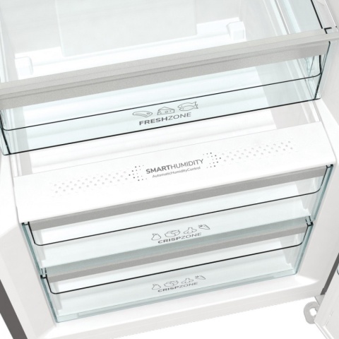 Lodówka jednodrzwiowa Gorenje R619EAXL6 185cm srebrna chłodziarka